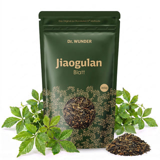Jiaogulan Blatt