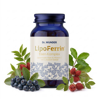 LipoFerrin Eisen-Komplex